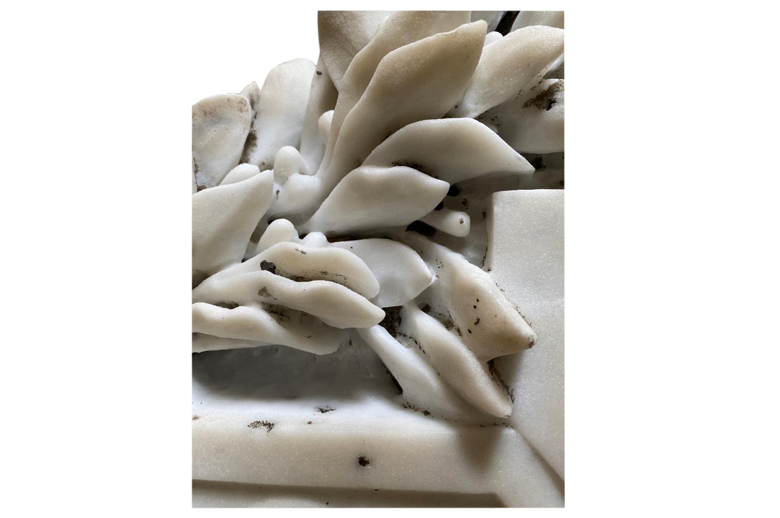 Blasson, crête de famille italienne du 18ème siècle en vente 9
