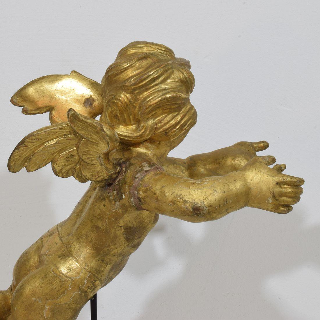 Ángel barroco italiano del siglo XVIII tallado en madera dorada 2