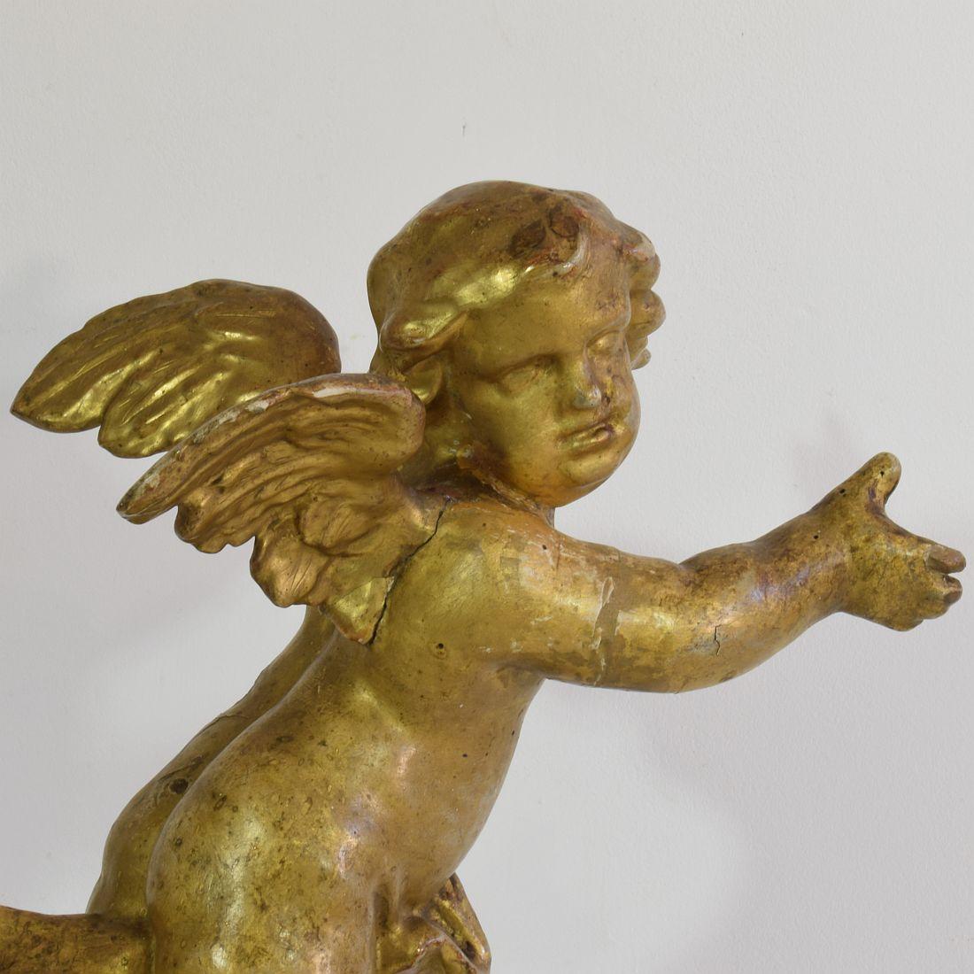 Italian 18th Century Carved Giltwood Baroque Angel 9