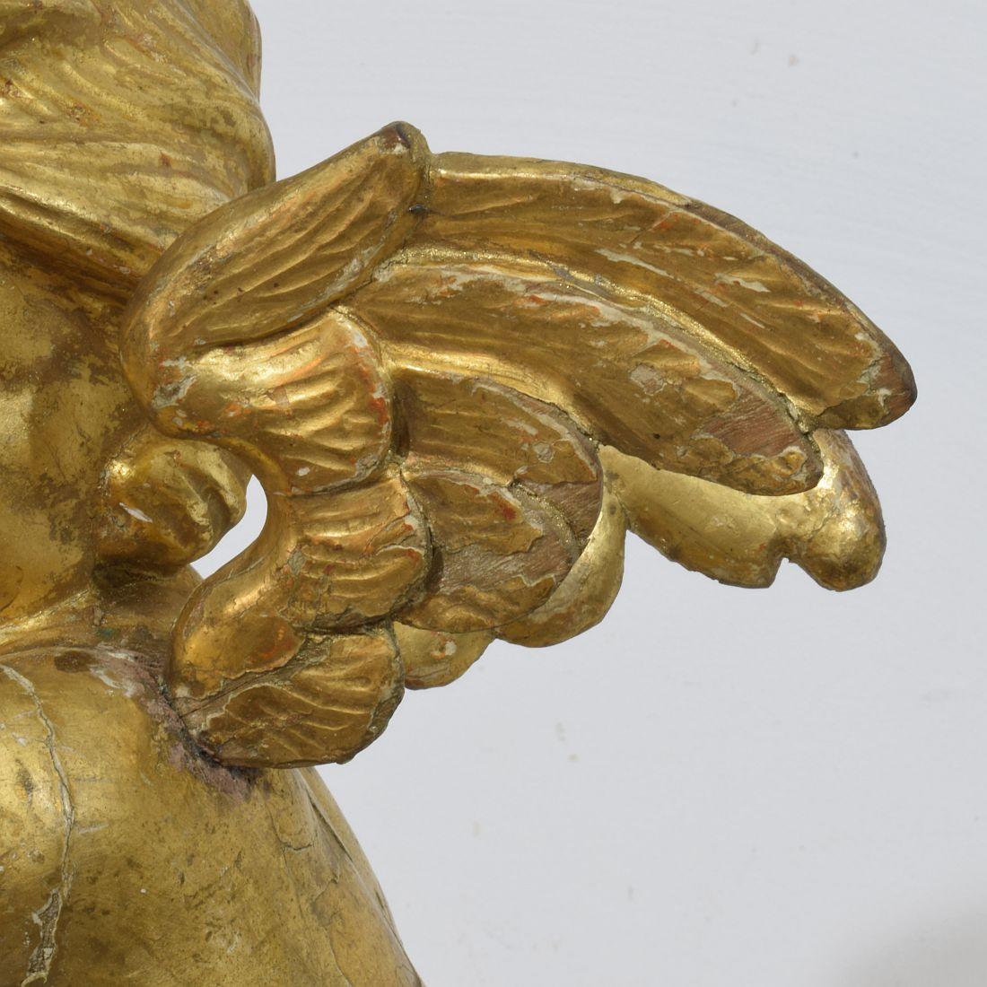 Ángel barroco italiano del siglo XVIII tallado en madera dorada 8