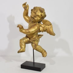 Angelo barocco italiano intagliato in legno dorato del XVIII secolo