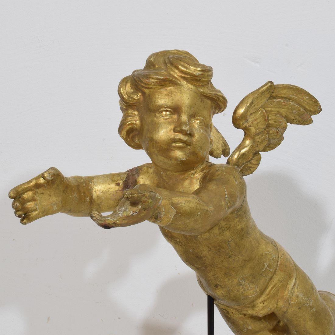 Ángel barroco italiano del siglo XVIII tallado en madera dorada Madera
