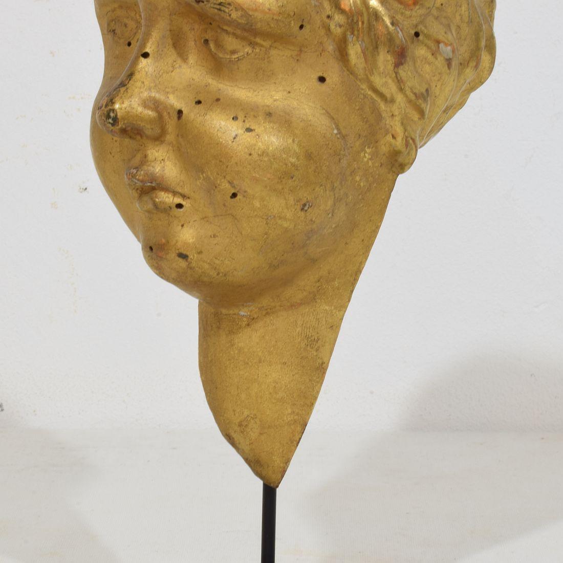 Cabeza de ángel barroca italiana del siglo XVIII tallada en madera dorada en venta 2