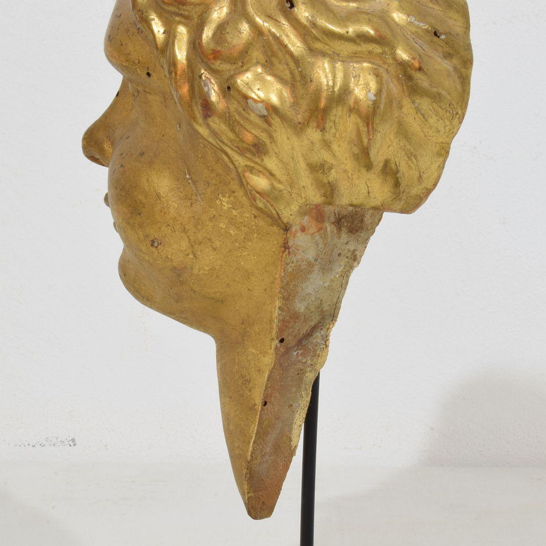 Cabeza de ángel barroca italiana del siglo XVIII tallada en madera dorada en venta 3