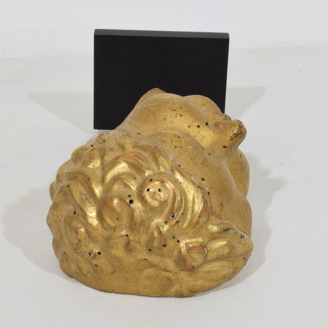 Cabeza de ángel barroca italiana del siglo XVIII tallada en madera dorada en venta 5