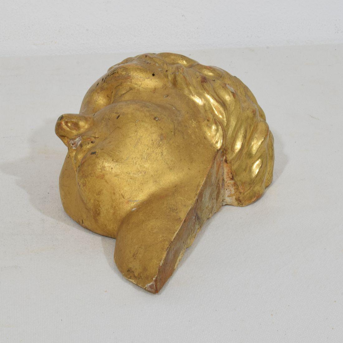Cabeza de ángel barroca italiana del siglo XVIII tallada en madera dorada en venta 6
