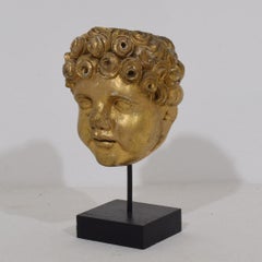 Italian 18th Century Carved Giltwood Baroque Angel Head