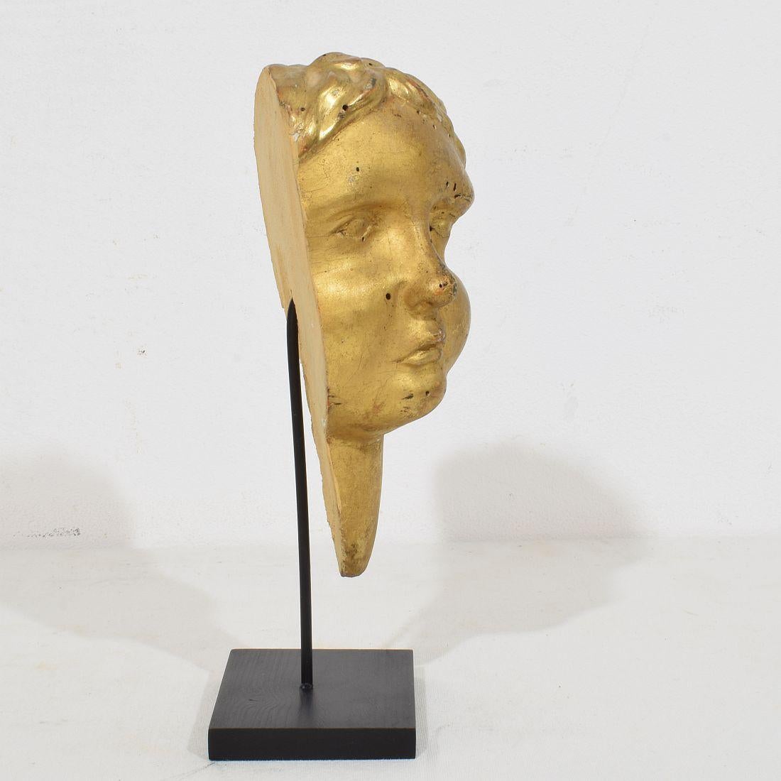 Italienisch 18. Jahrhundert geschnitzt Giltwood Barock Engel Kopf im Zustand „Gut“ im Angebot in Buisson, FR