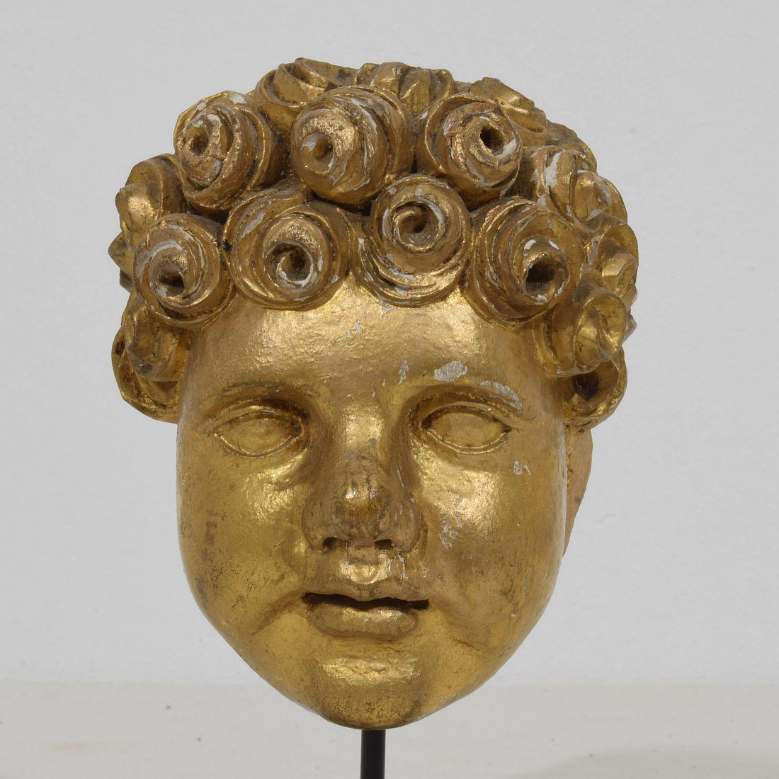 Italian 18th Century Carved Giltwood Baroque Angel Head 1