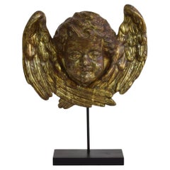 Italian 18th Century Carved Giltwood Baroque Angel Head