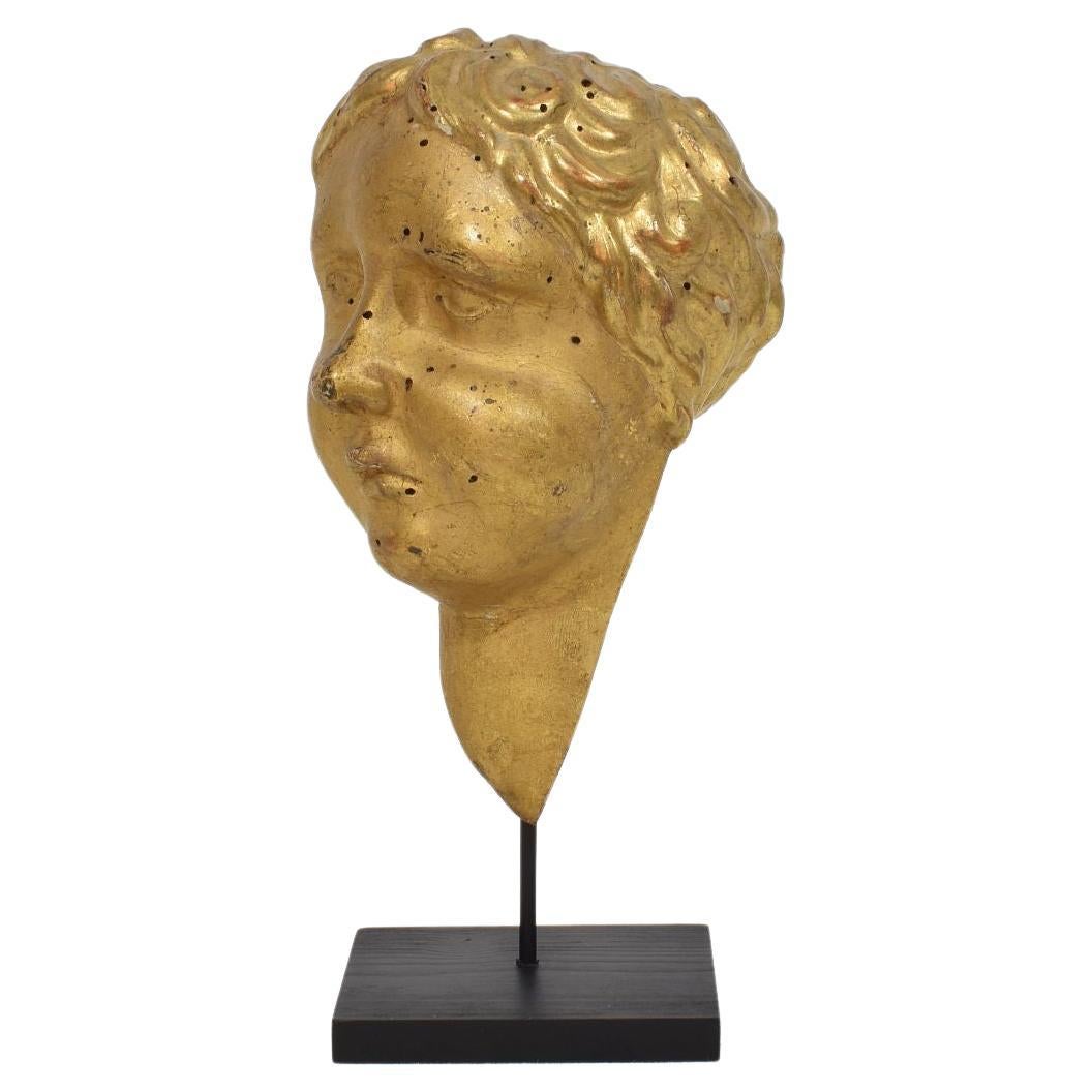 Italienisch 18. Jahrhundert geschnitzt Giltwood Barock Engel Kopf