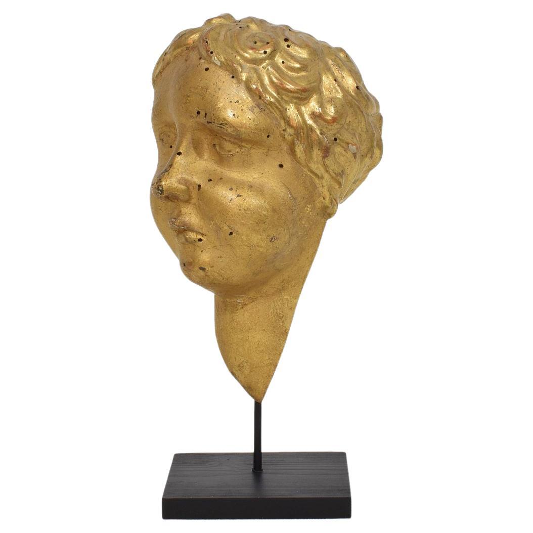 Italienisch 18. Jahrhundert geschnitzt Giltwood Barock Engel Kopf im Angebot