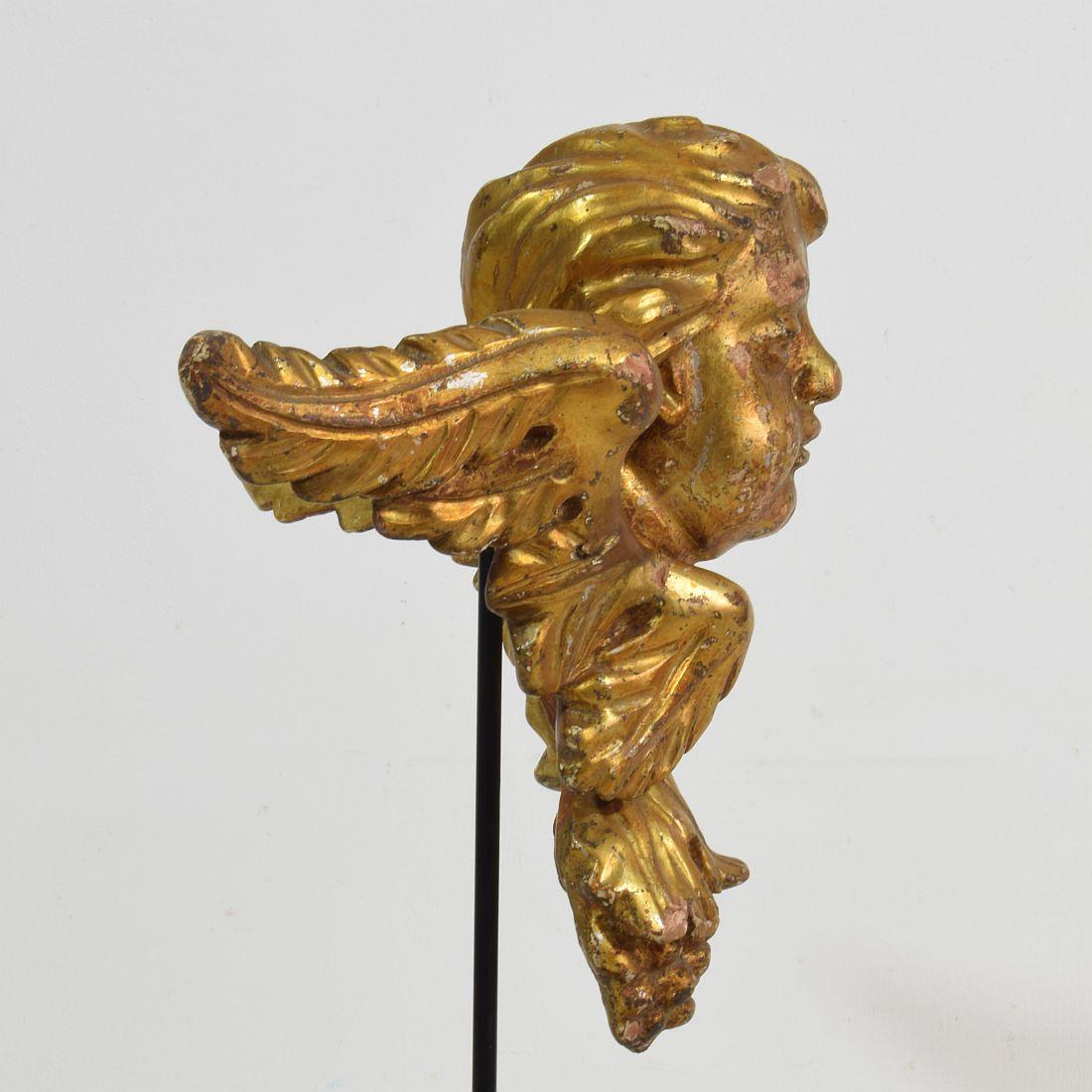 Italian 18th Century Carved Giltwood Baroque Winged Angel Head 5