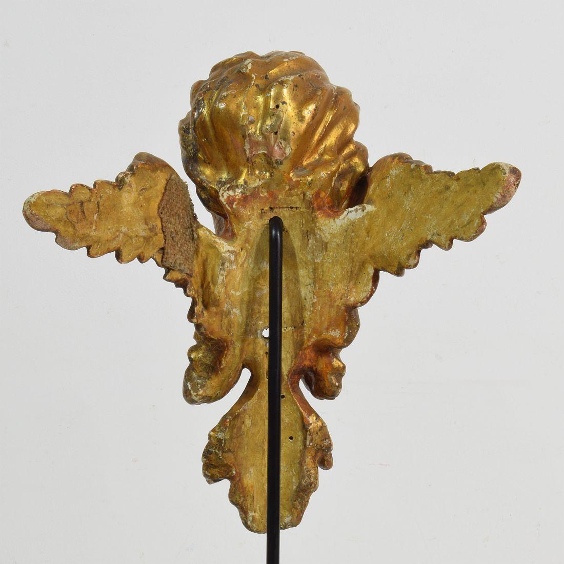 Italian 18th Century Carved Giltwood Baroque Winged Angel Head 6