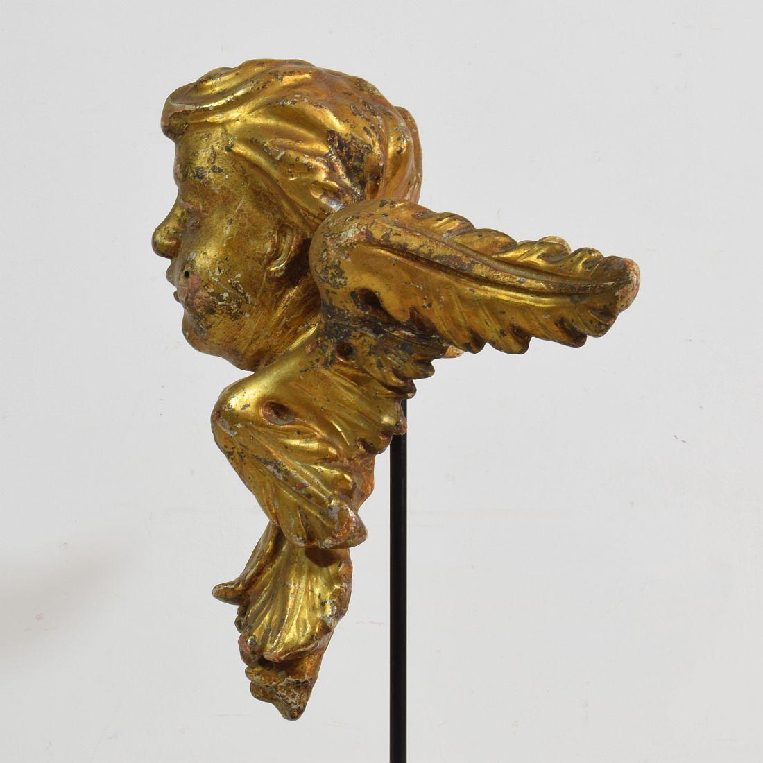 Italian 18th Century Carved Giltwood Baroque Winged Angel Head 7