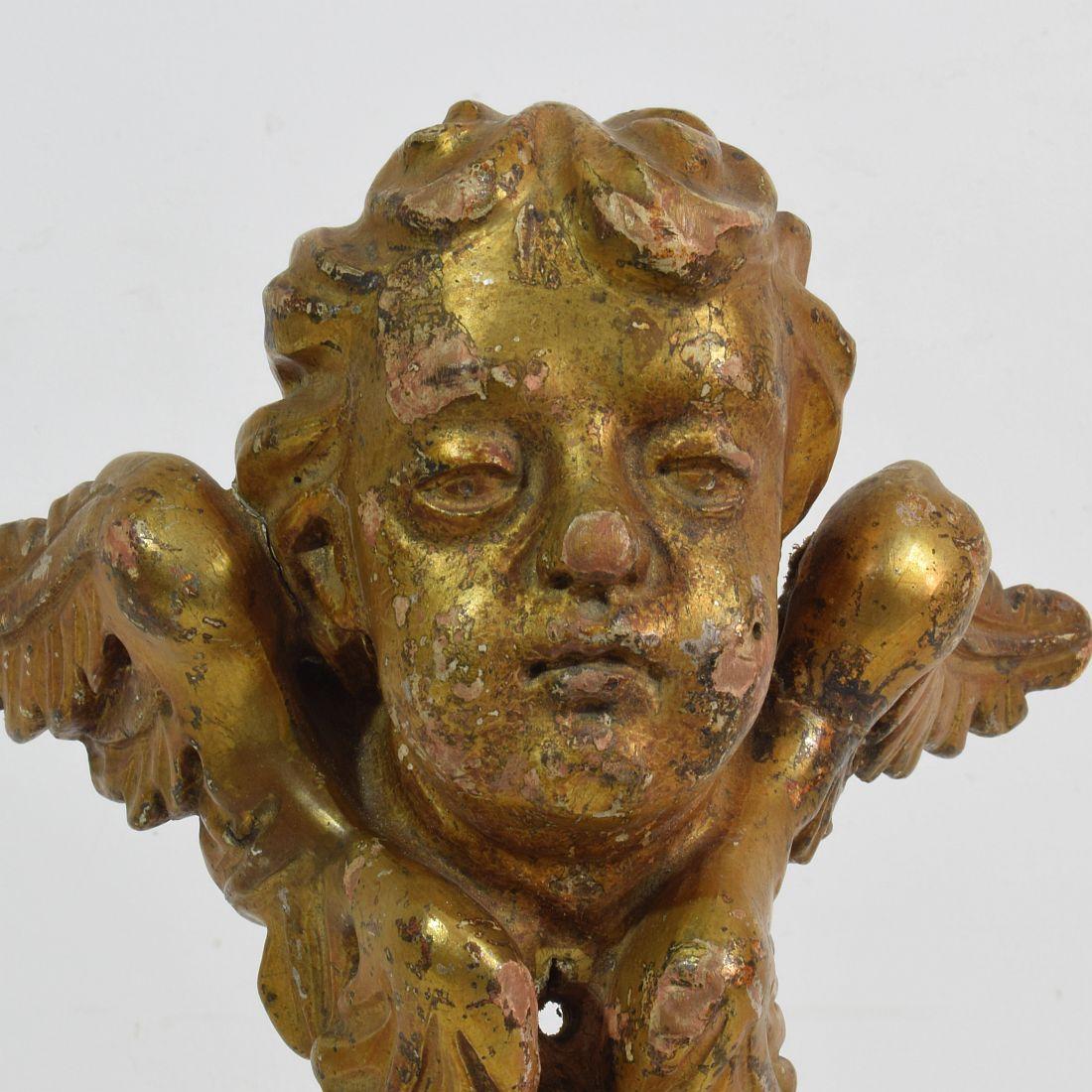 Italian 18th Century Carved Giltwood Baroque Winged Angel Head 8