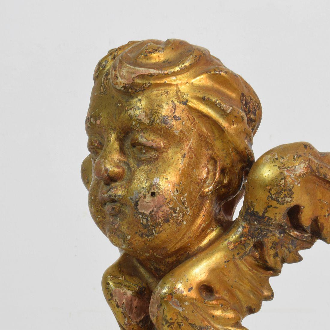 Italian 18th Century Carved Giltwood Baroque Winged Angel Head 9