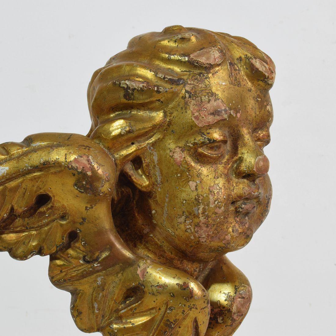 Italian 18th Century Carved Giltwood Baroque Winged Angel Head 10