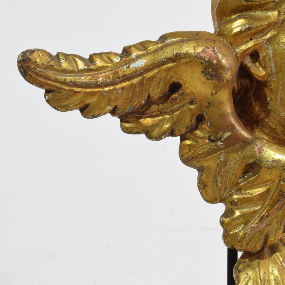 Italian 18th Century Carved Giltwood Baroque Winged Angel Head 11