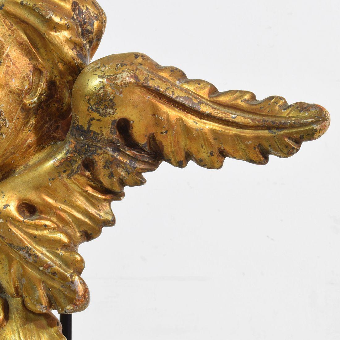 Italian 18th Century Carved Giltwood Baroque Winged Angel Head 12