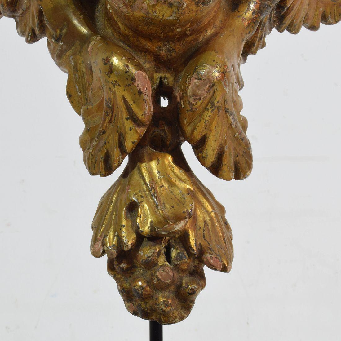 Italian 18th Century Carved Giltwood Baroque Winged Angel Head 13