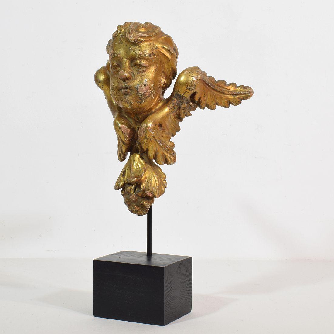 Beautiful giltwood winged angel head. 
Italy, circa 1750
Weathered, small losses on the gilding and old repair. 
Measurement here below inclusive the wooden base.