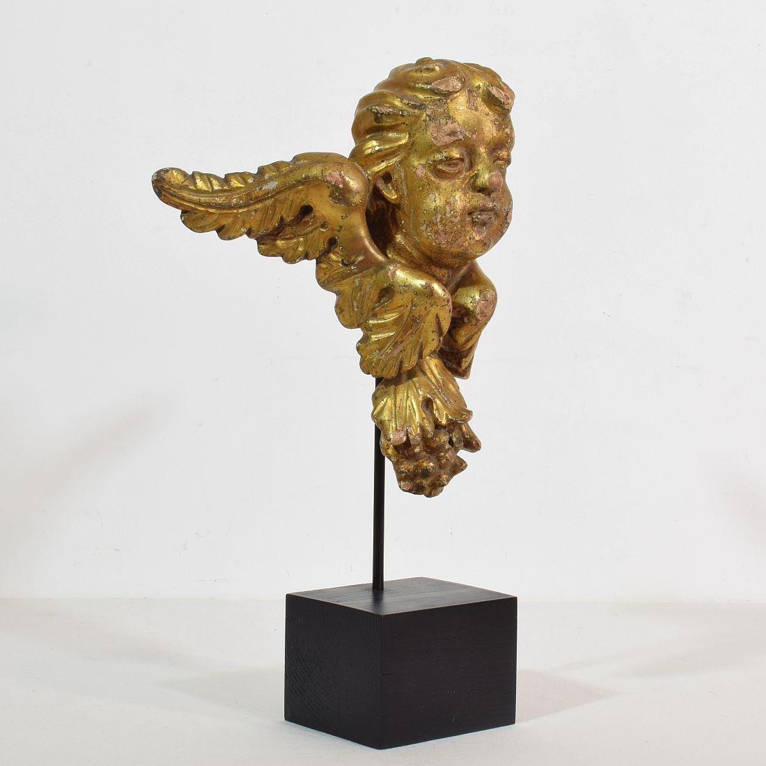 Italian 18th Century Carved Giltwood Baroque Winged Angel Head In Good Condition In Buisson, FR