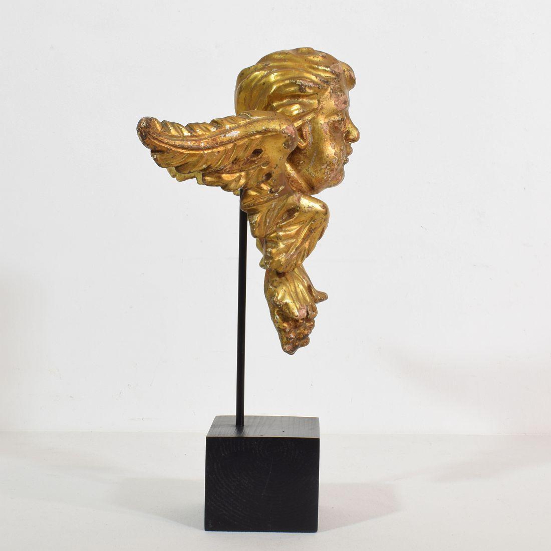 18th Century and Earlier Italian 18th Century Carved Giltwood Baroque Winged Angel Head