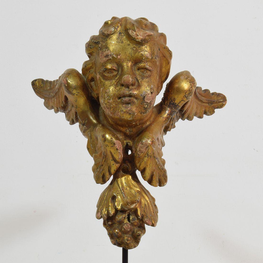 Italian 18th Century Carved Giltwood Baroque Winged Angel Head 2