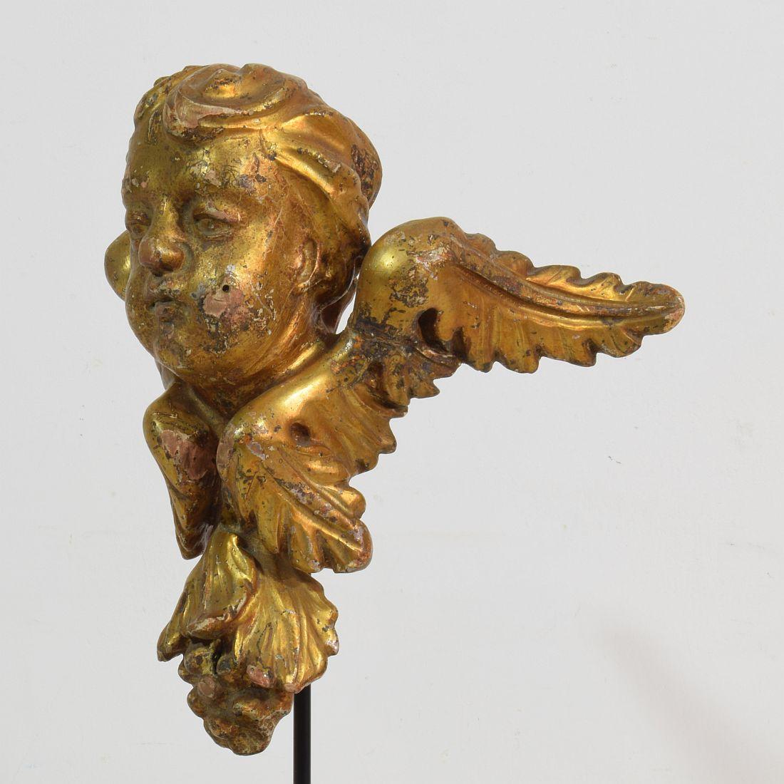 Italian 18th Century Carved Giltwood Baroque Winged Angel Head 3