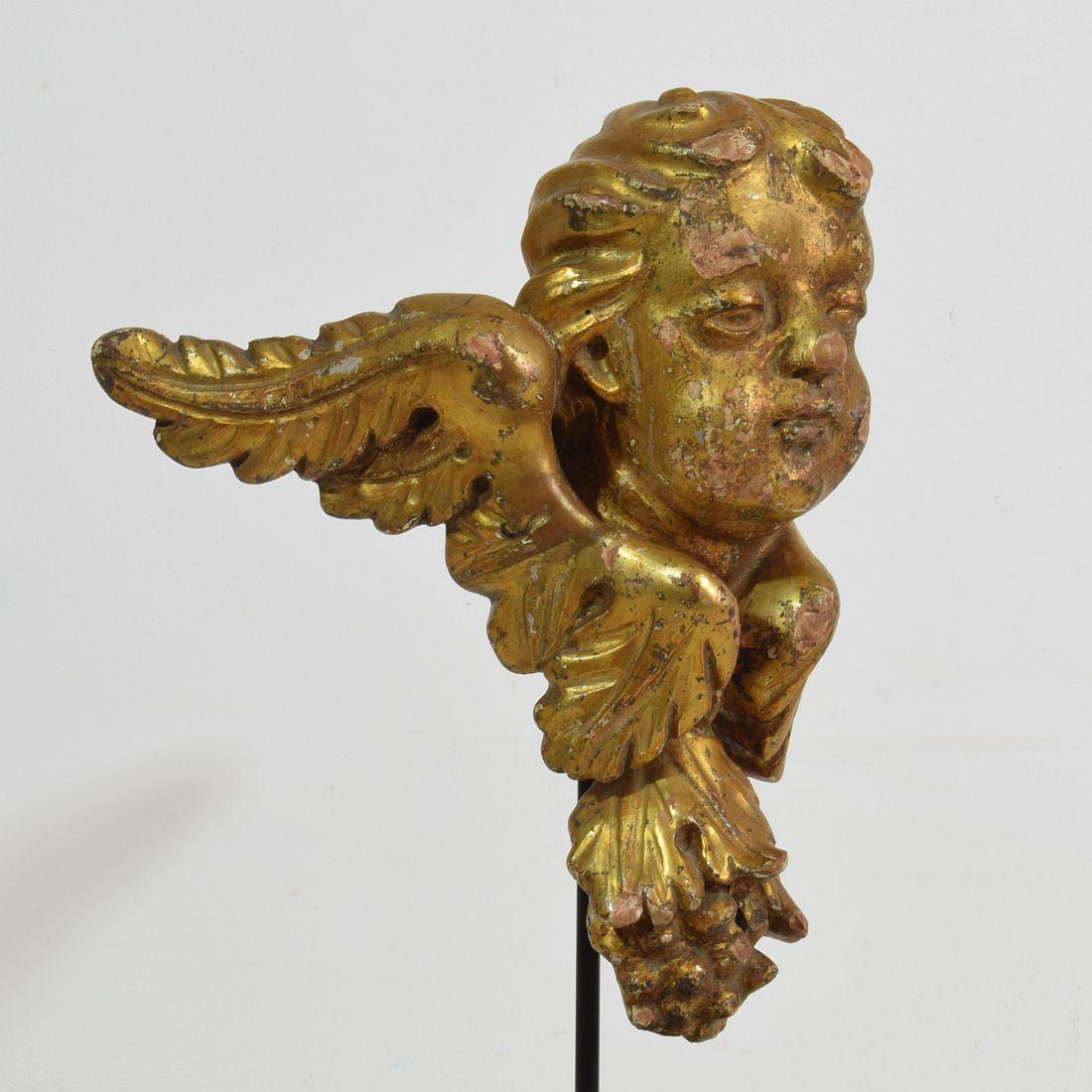 Italian 18th Century Carved Giltwood Baroque Winged Angel Head 4