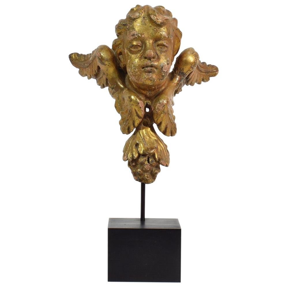 Italian 18th Century Carved Giltwood Baroque Winged Angel Head