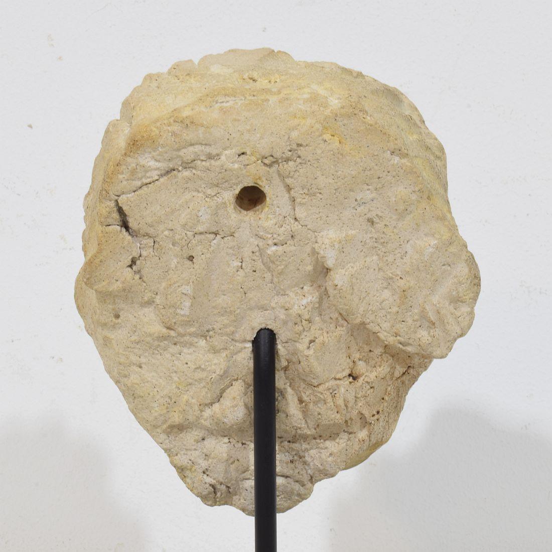 Testa d'angelo in gesso/pietra fusa del XVIII secolo italiano in vendita 5
