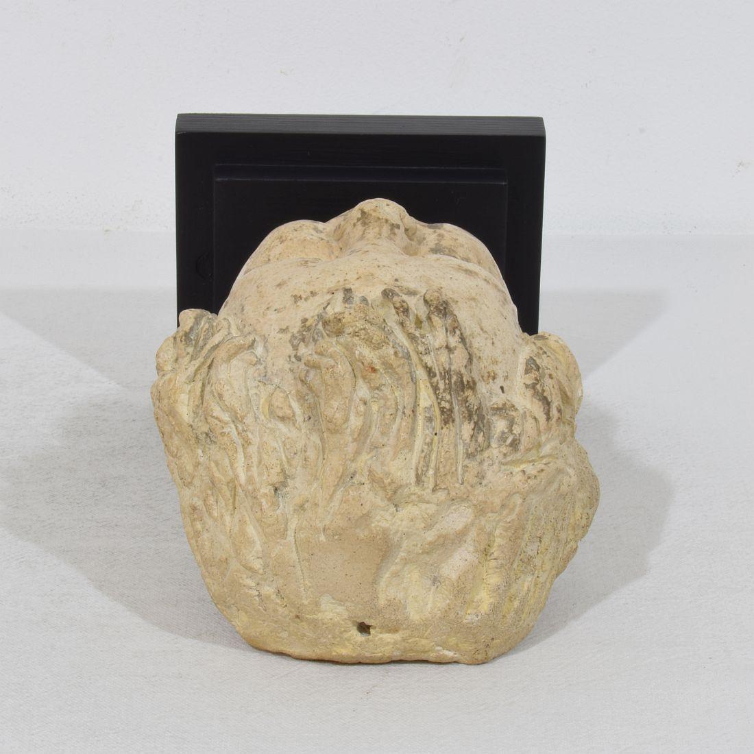 Testa d'angelo in gesso/pietra fusa del XVIII secolo italiano in vendita 7