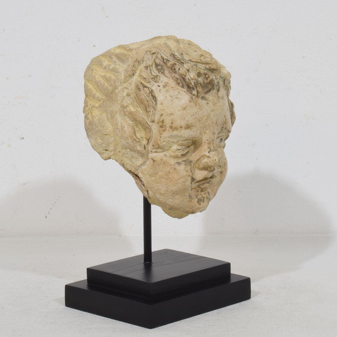 Italiano Testa d'angelo in gesso/pietra fusa del XVIII secolo italiano in vendita