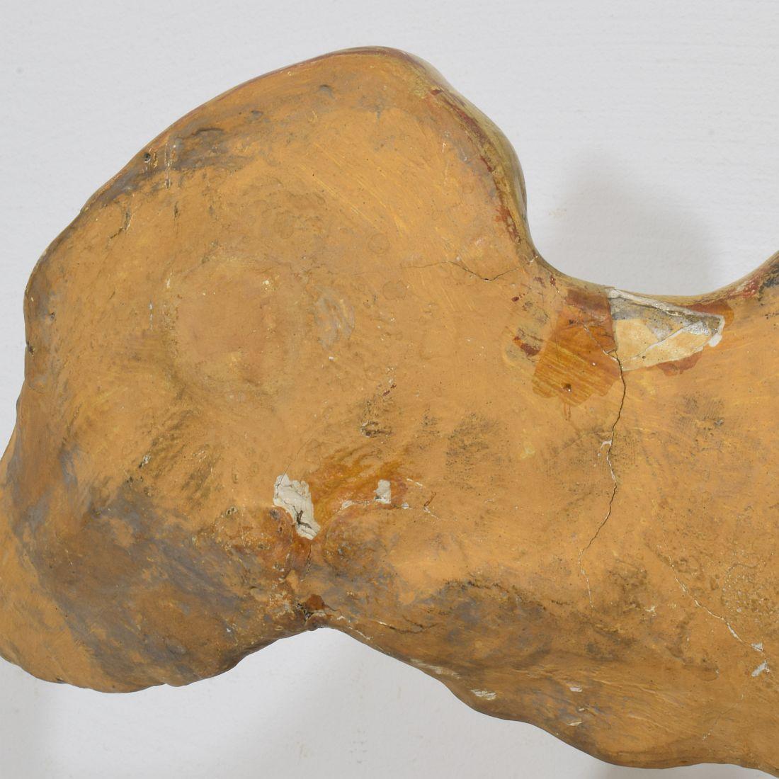 Italian 18th Century Gilded Paper Mache Dove/ Holy Spirit For Sale 11