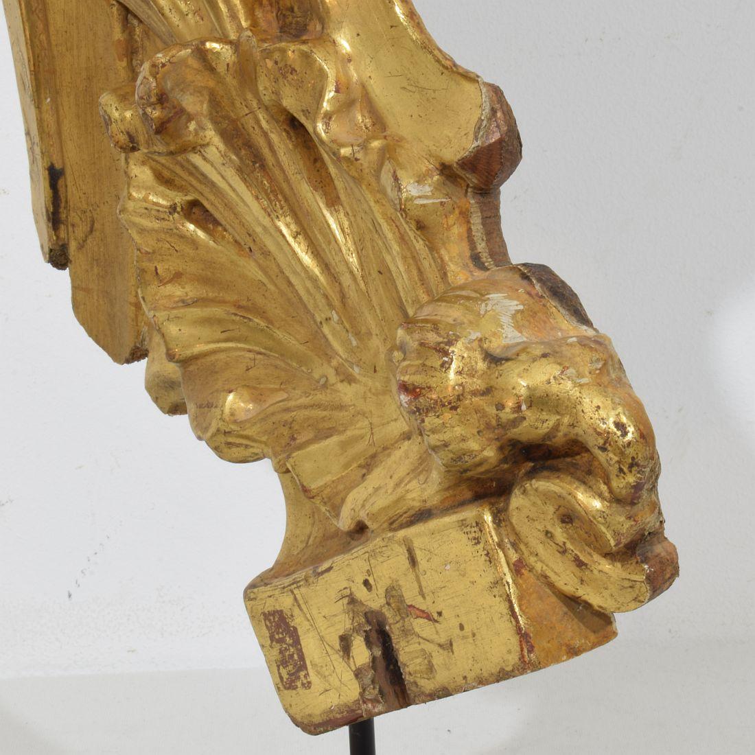 Siglo XVIII italiano  Adorno Barroco Rizado de Madera de Giltwood Tallado a Mano en venta 7