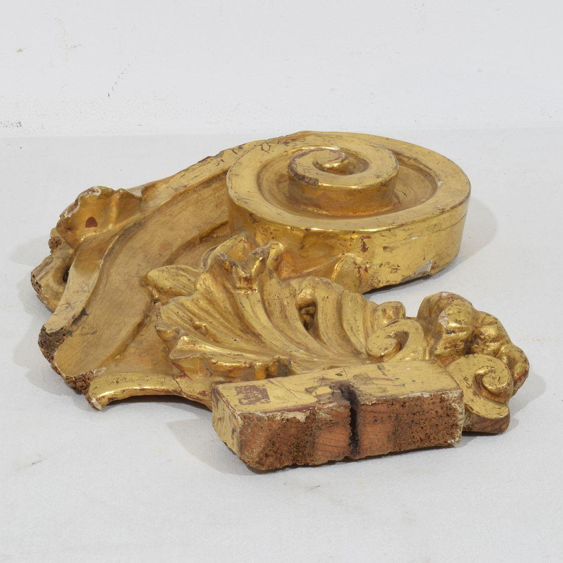 Siglo XVIII italiano  Adorno Barroco Rizado de Madera de Giltwood Tallado a Mano en venta 11