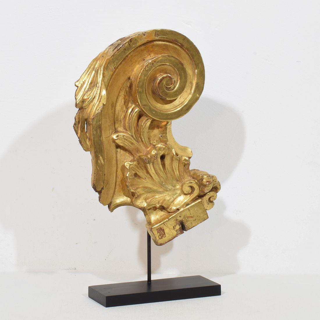 Siglo XVIII italiano  Adorno Barroco Rizado de Madera de Giltwood Tallado a Mano Italiano en venta