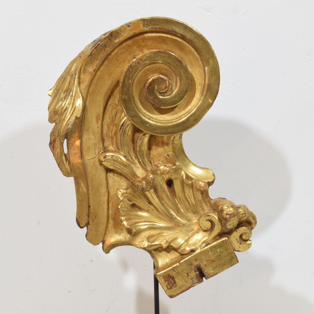 Siglo XVIII italiano  Adorno Barroco Rizado de Madera de Giltwood Tallado a Mano en venta 1