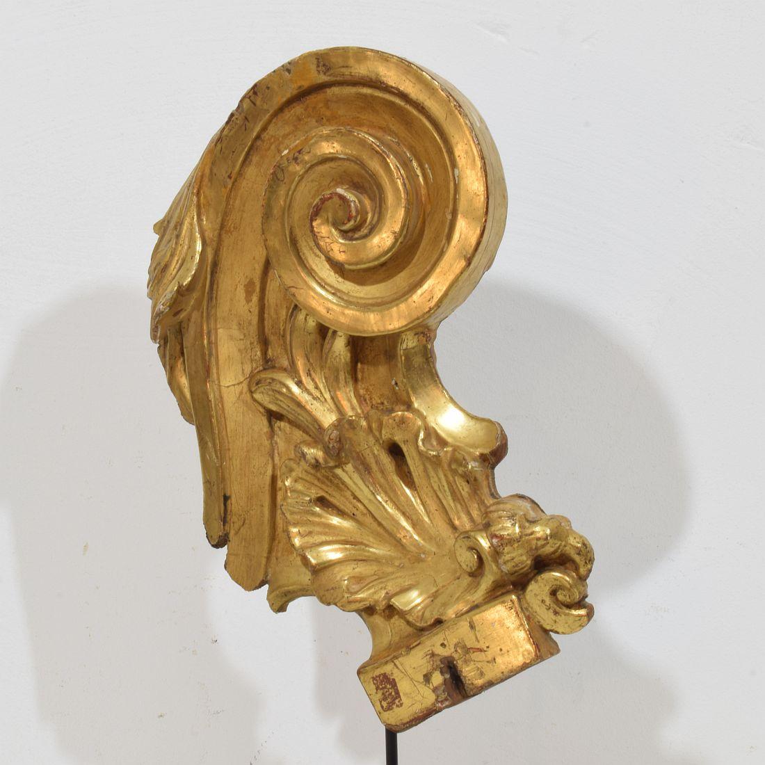 Siglo XVIII italiano  Adorno Barroco Rizado de Madera de Giltwood Tallado a Mano en venta 2