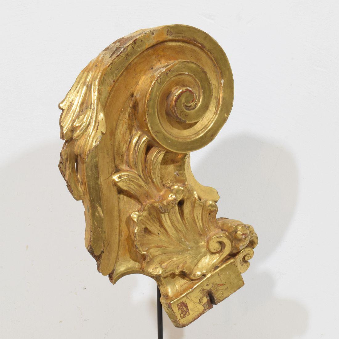 Siglo XVIII italiano  Adorno Barroco Rizado de Madera de Giltwood Tallado a Mano en venta 3