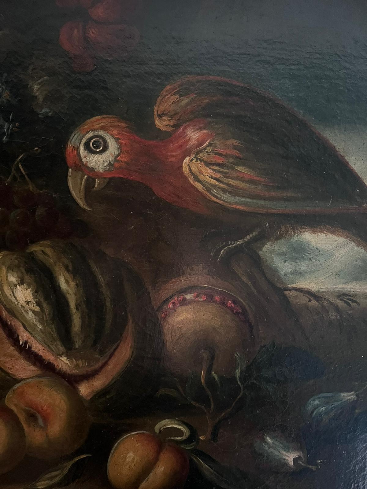 Raffinato dipinto a olio italiano del XVIII secolo Uccelli esotici con natura morta di frutta 1