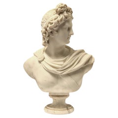 Italian 19 Century Marble Bust of Apollo