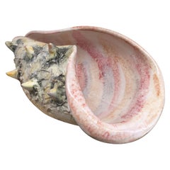 Italian 1950s Ceramic Conch with Heavy Sgraffito in the style of early Fantoni