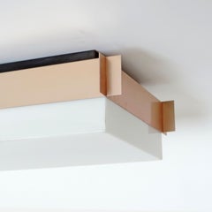 Italian 1960s Pair of Neon Flush Mounts in Copper and Acrylic