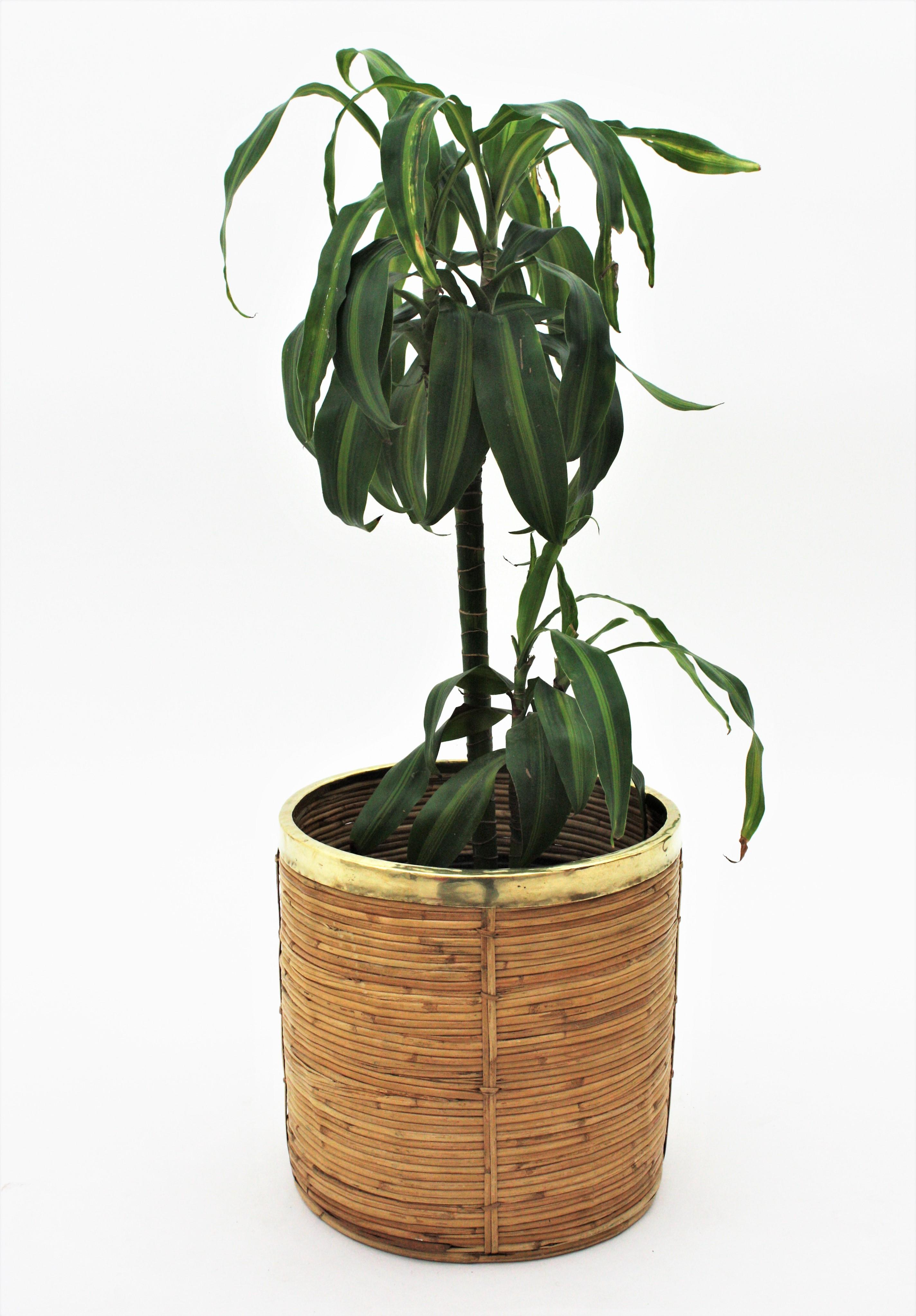 Italian 1970s Rattan Bamboo Round Planter with Brass Rim In Good Condition In Barcelona, ES