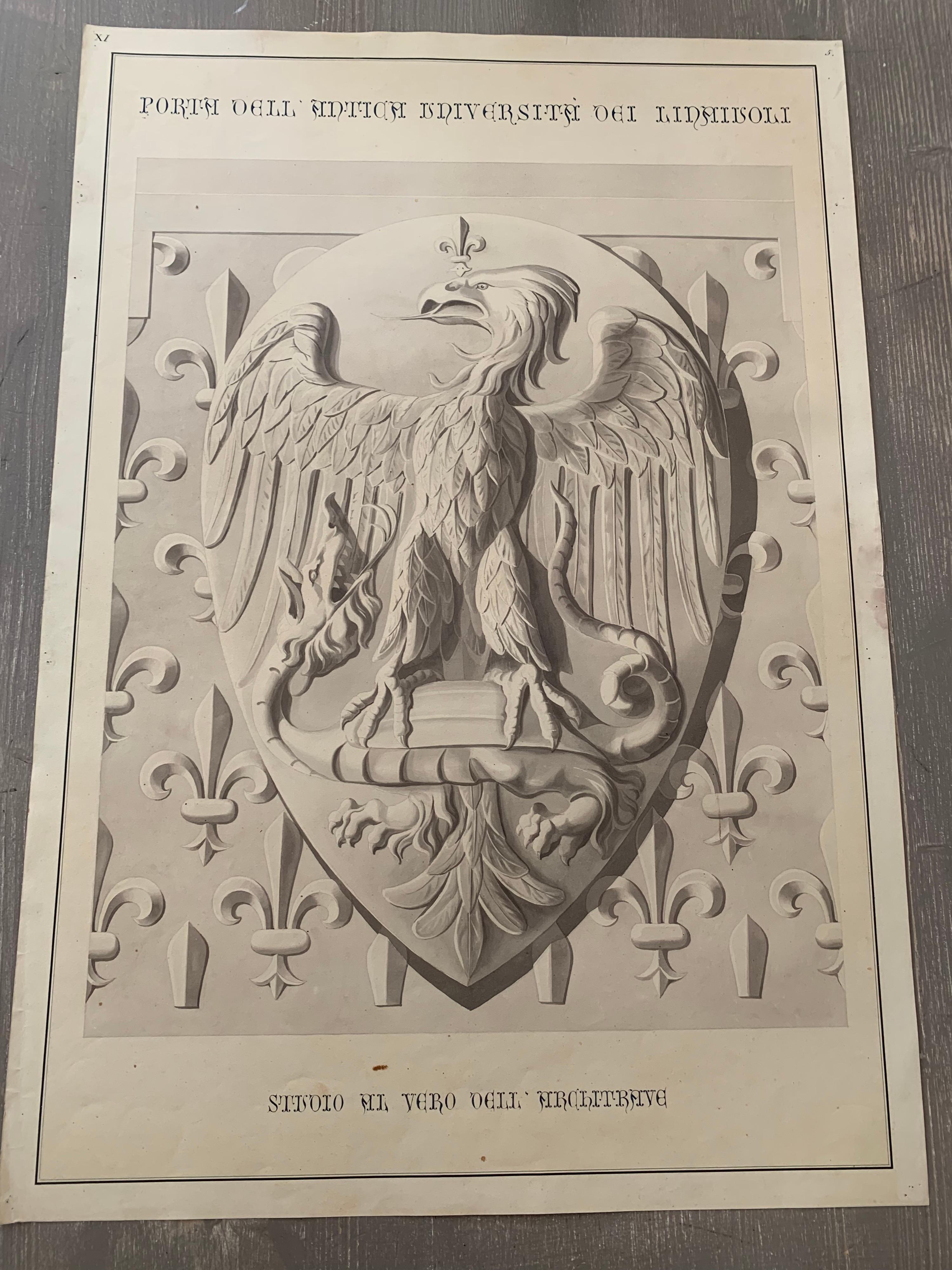 Rare extra large (cm 59 x 85) antique watercolor representing a coat of arms and coming from a collection of architectural details of Florence monuments painted in Italy in the mid-19th century.
Black mat with gold hand painted band and handcrafted