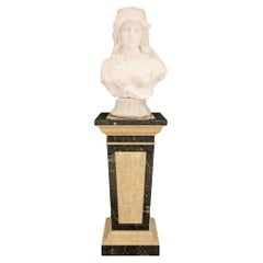Italienische Büste und Sockel aus Carrara-Marmor und Alabaster des 19. Jahrhunderts