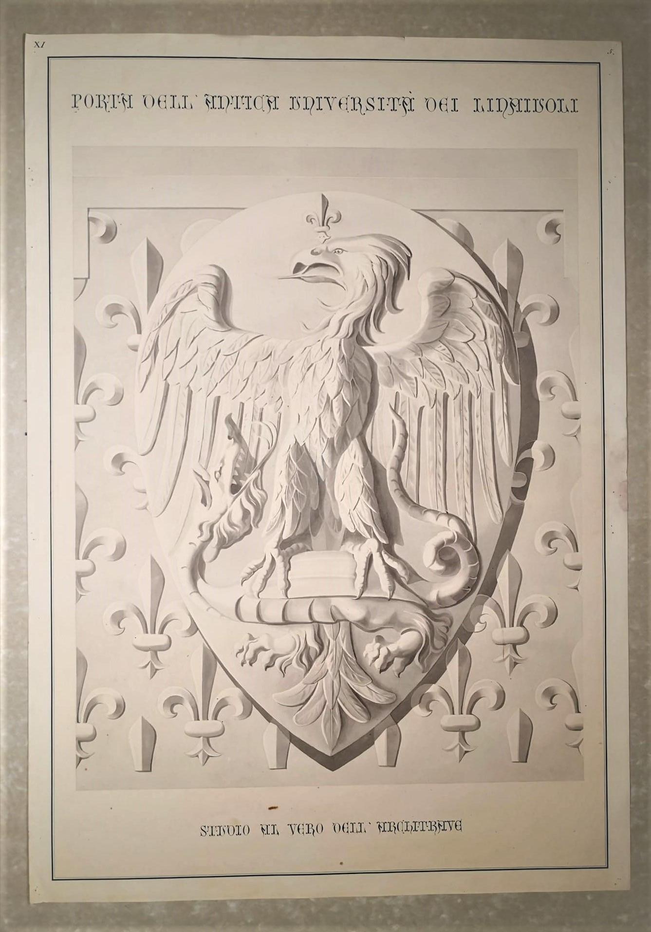 A rare extra-large print, printed on engraving paper with an antique star press and watercolored by hand representing antique Stemma of 